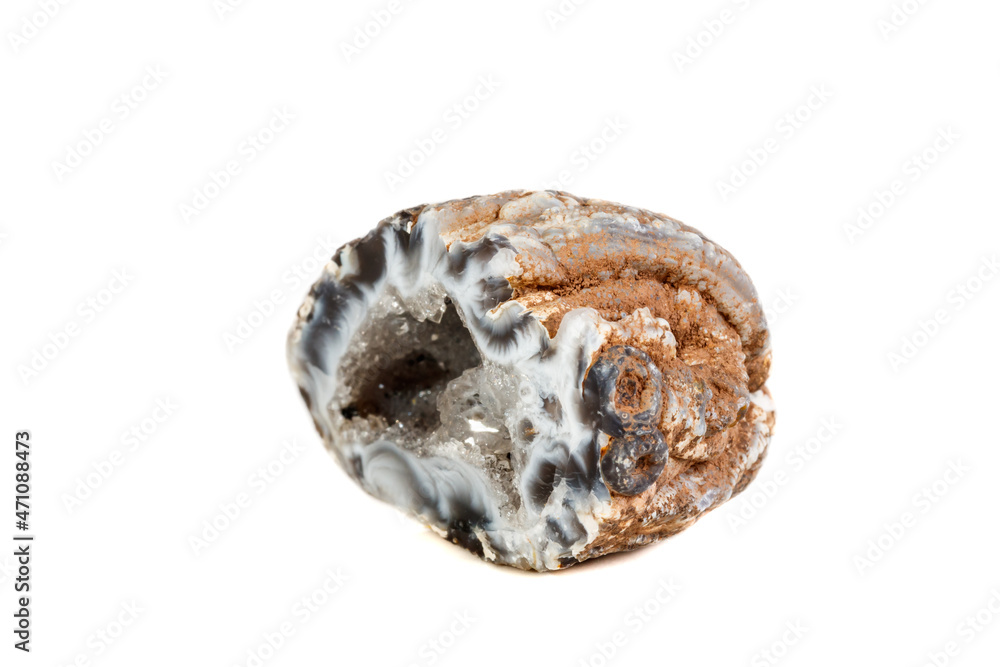 Macro mineral stone agate kidney gerbera on white background close up Macro mineral stone agate kidney gerbera on white background close up