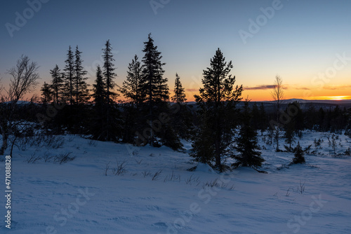 Verschneiter Wald, Lappland, Finnland