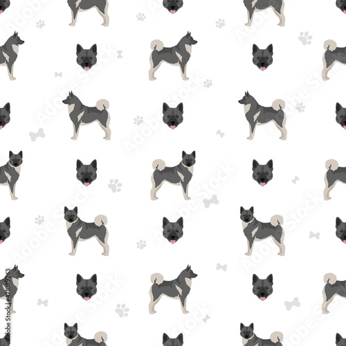 Norwegian elkhound seamless pattern. Different poses, coat colors set photo
