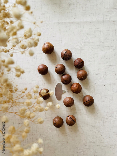 closed macadamia nuts with gypsophila, white background