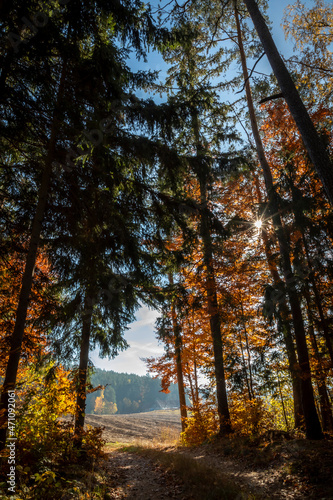 autumn scenery in the Waldviertel, Lower Austria, Austria