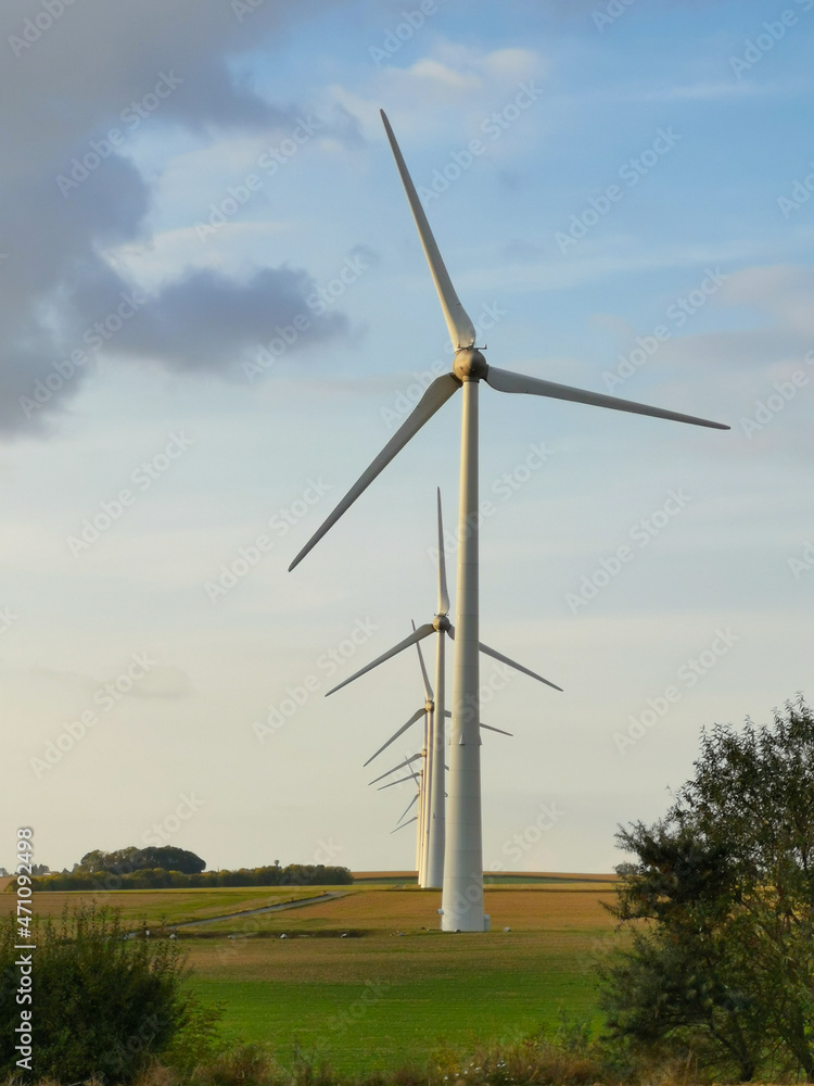 wind turbines in the field 