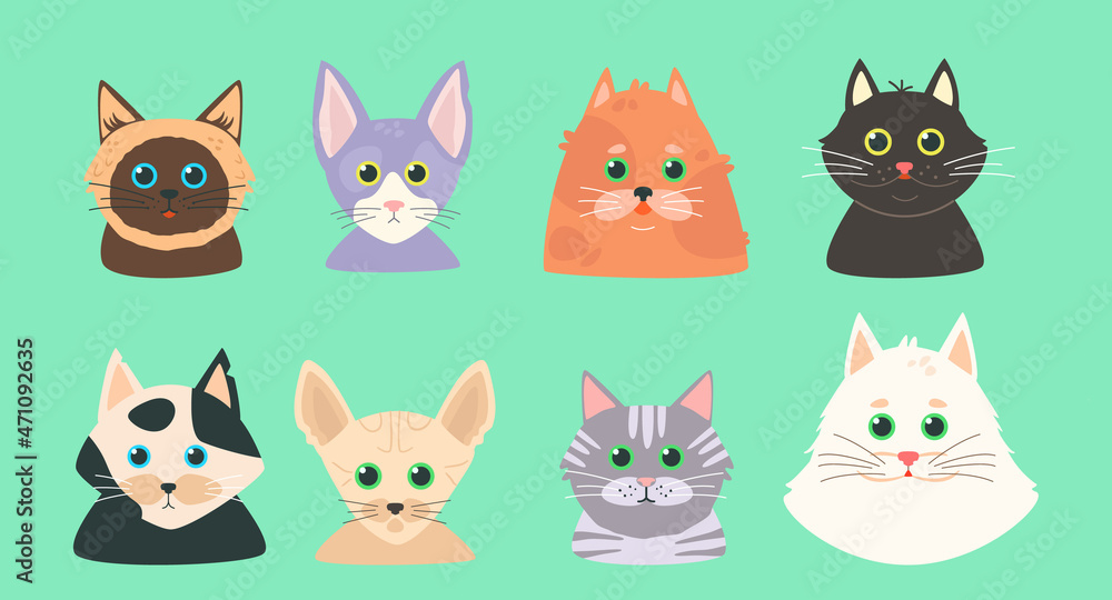 Set of cats of different breeds. Flat cat's avatar. Thai, fluffy, ginger, black kitty, sphinx, cornish rex. Cartoon avatar.