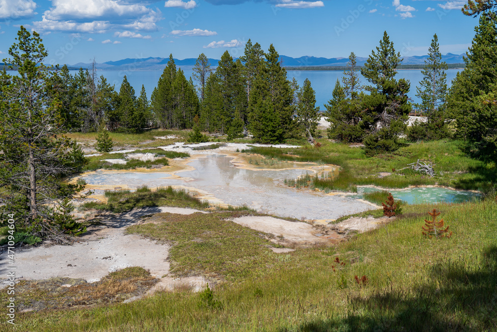 Hot springs in West Thumb Geyser Basin in Yellowstone National Park in the summer, surrounded by green trees