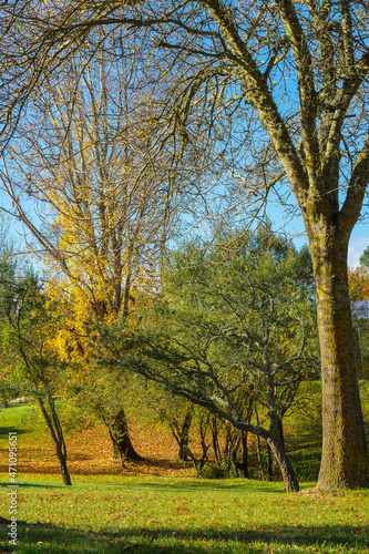 Beautiful outdoor park of Santa Margarida da Coutada with autumn colors. Trees with brown and yellow folliage in Constancia - Portugal