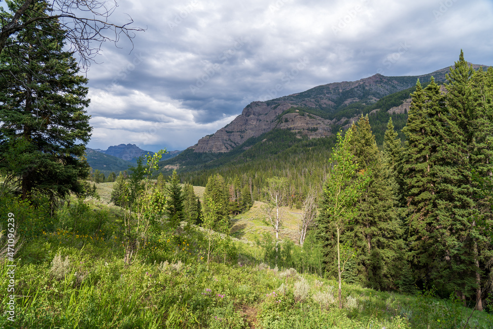 Mountains, trees, and a grassy valley just off the Chief Joseph Highway in Wyoming near the Beartooth Mountains and Yellowstone, on a sunny and cloudy summer afternoon Mountains, trees, and a grassy valley just off the Chief Joseph Highway in Wyoming near the Beartooth Mountains and Yellowstone, on a sunny and cloudy summer afternoon