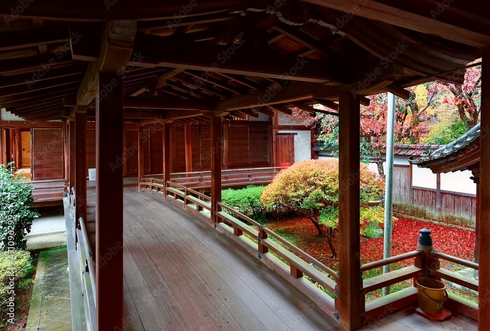 Scenic view of a beautiful Japanese courtyard garden thru a wooden bridge corridor ( Kairou ) connecting two buildings in Bishamon-Do, a Buddhist temple famous for fiery autumn foliage in Kyoto, Japan