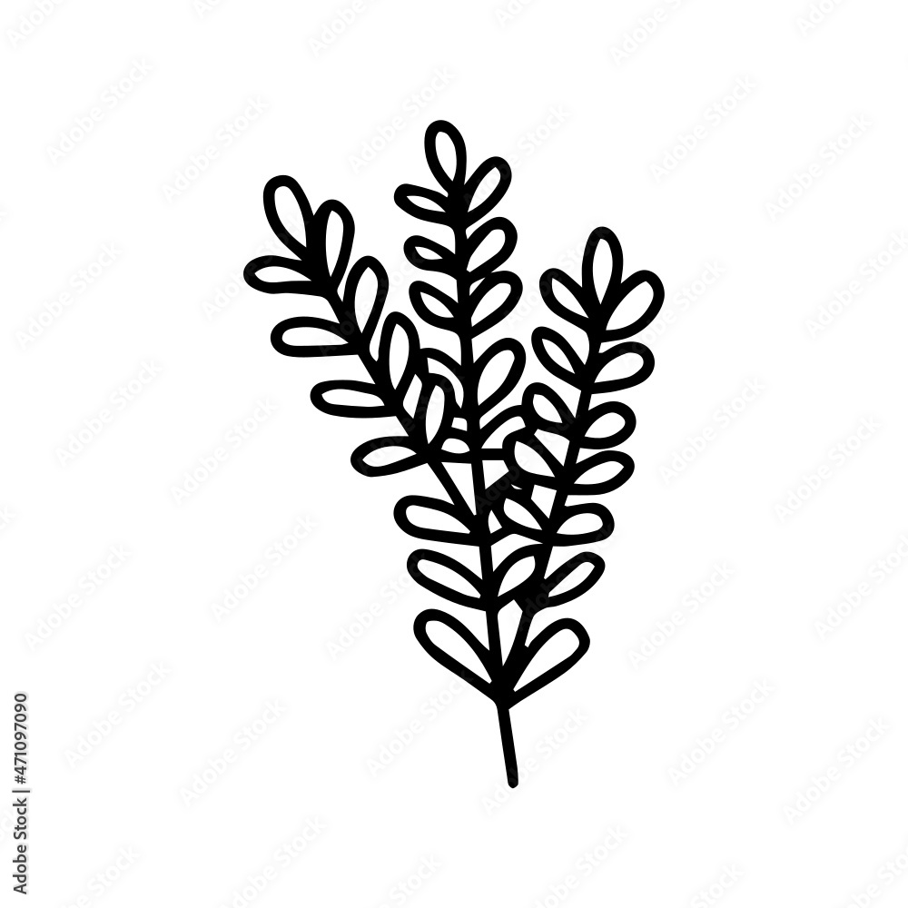 Flower Line Art Flower Line Art