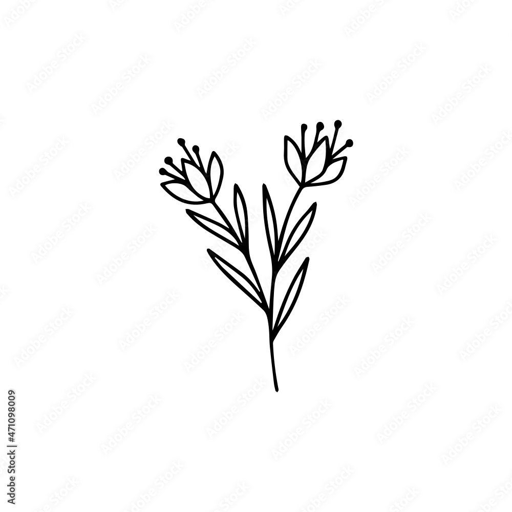 Floral Frame Line Art Floral Frame Line Art