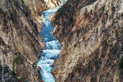 The Yellowstone River cuts through the Grand Canyon of the Yellowstone in Yellowstone National Park  Wyoming