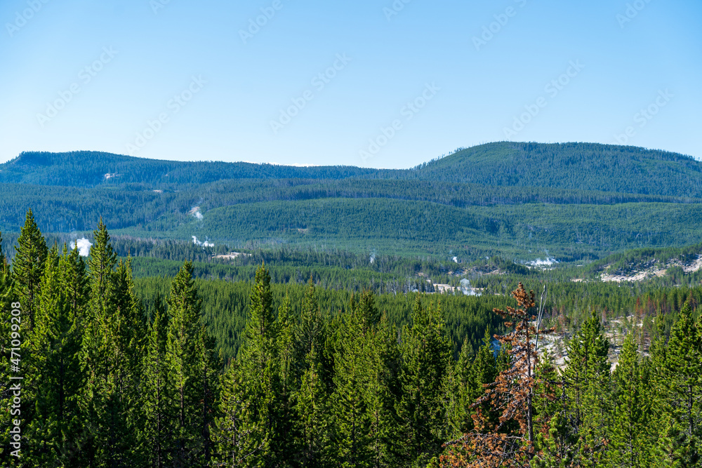 A view of Norris Geyser Basin from afar, overlook from the Grand Loop Road in Yellowstone National Park in Wyoming on a sunny summer day