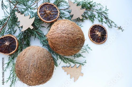 original christmas greeting card. coconuts with fir branches and christmas tree decorations