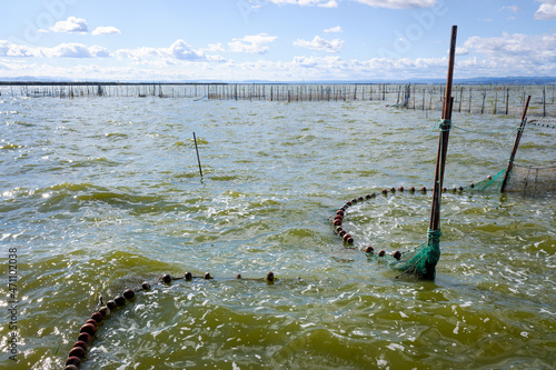 Traditional gear and fishing nets placed in the Valencia lagoon for eel fishing.