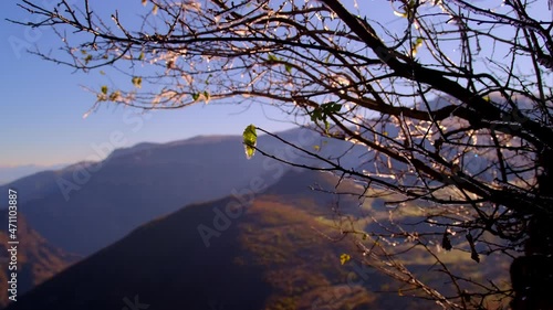 Spring in the mountains. Spring drops