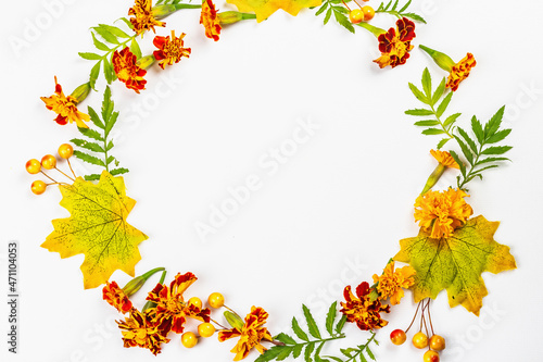Autumn frame composition, isolated on a white background