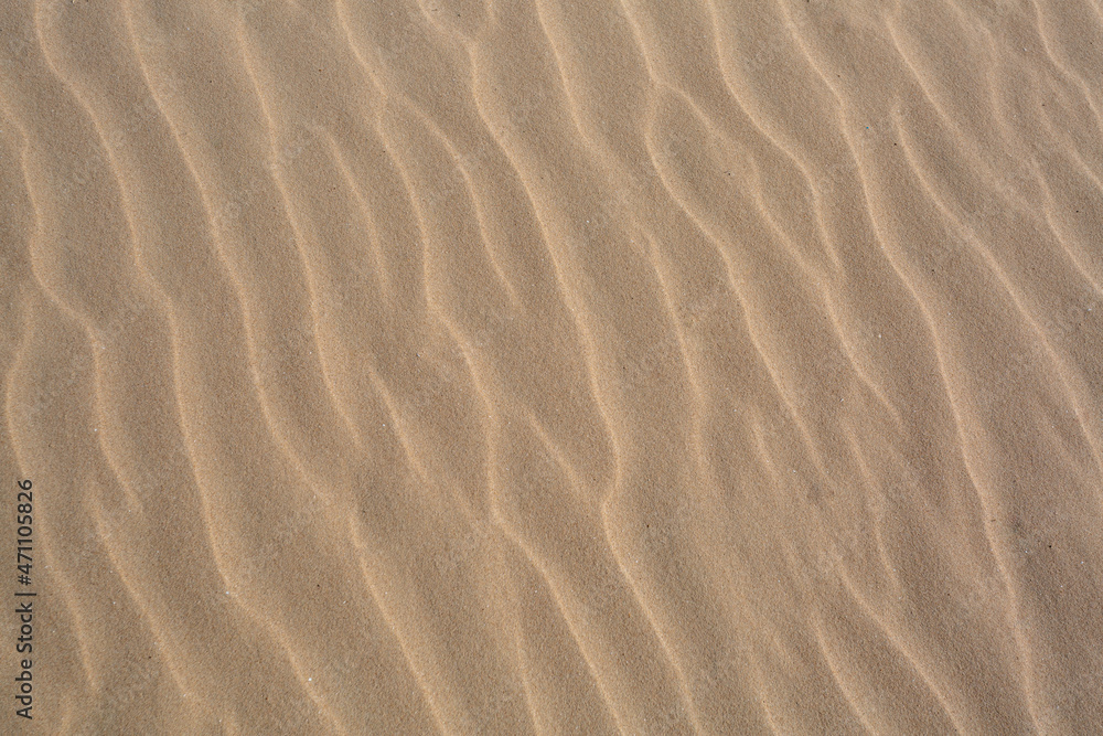 sand texture,Beach sand,Sand Texture for Summer Background. sand texture,Beach sand,Sand Texture for Summer Background.