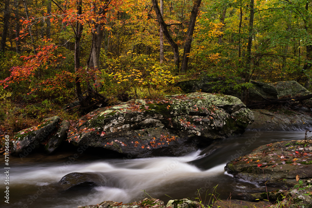 The cold clear waters of Deer Creek meander their way through steep ravines of green and golden foliage on their way to empty into the Susquehanna River. The cold clear waters of Deer Creek meander their way through steep ravines of green and golden foliage on their way to empty into the Susquehanna River.