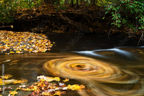 Obraz na plátně The cold clear waters of Big Hunting Creek create whirlpools of fall color on their way from the headwaters in Thurmont then eventually down into the Atlantic Ocean