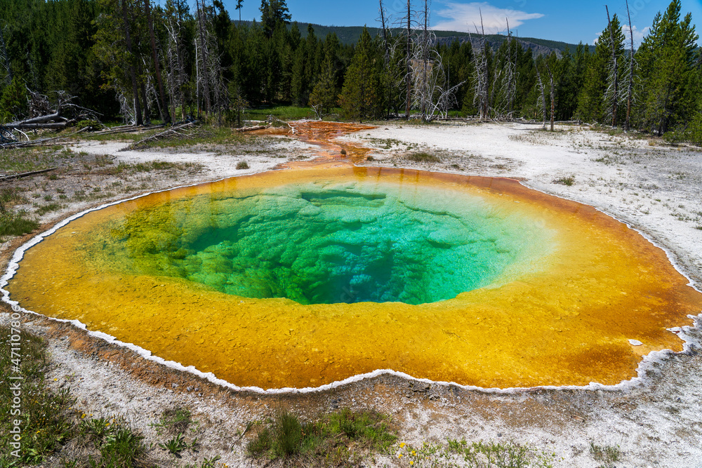 Colorful hot spring in Yellowstone National Park - obrazy, fototapety, plakaty 