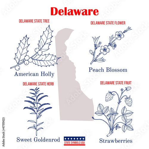 Delaware. Set of USA official state symbols
