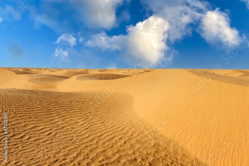 Sand dunes in the Sahara desert