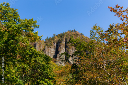 Beautiful mountain with autumn season tree