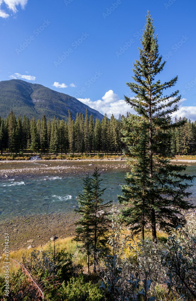 Bow River in Banff National Park