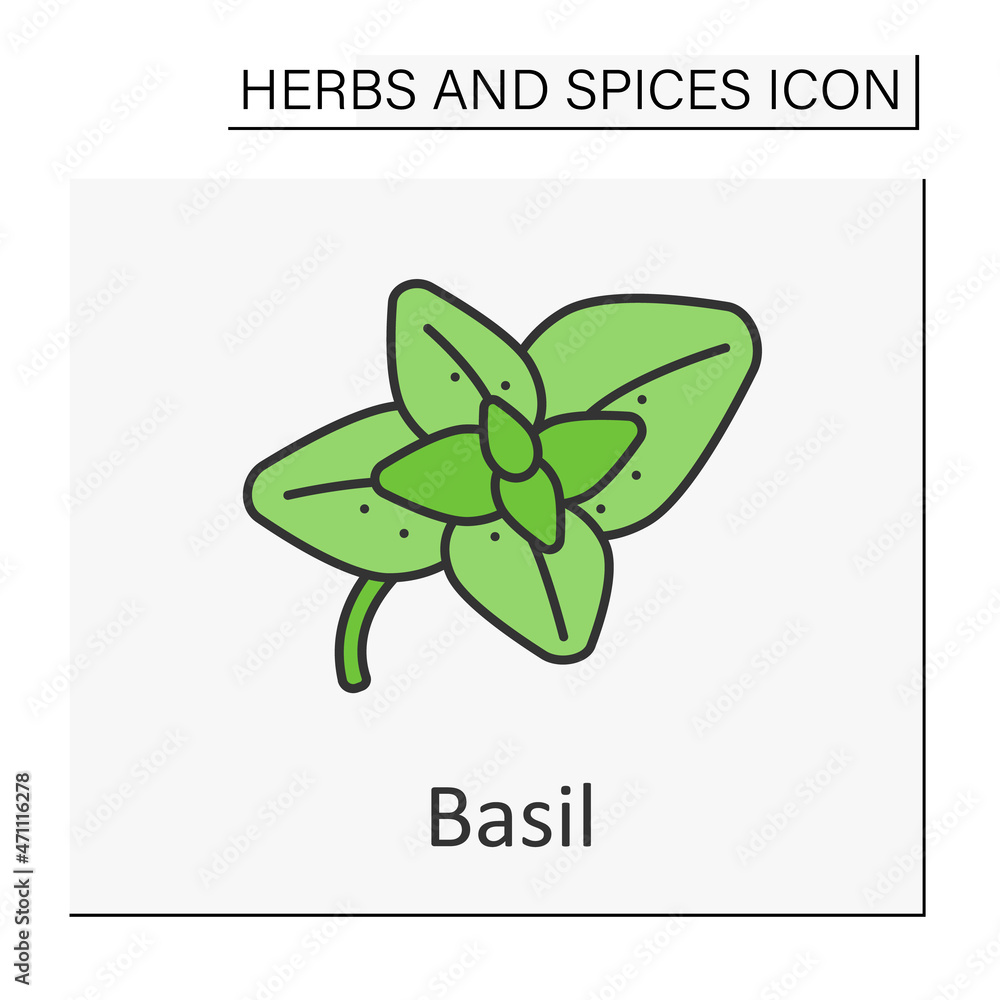Basil color icon. Strong-smelling and strong-tasting herb for cooking. Additional flavor for food. Herbs and spices concept. Isolated vector illustration