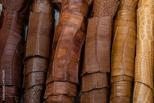 Colorful rolls of alligator leather. Brown light dark palette.