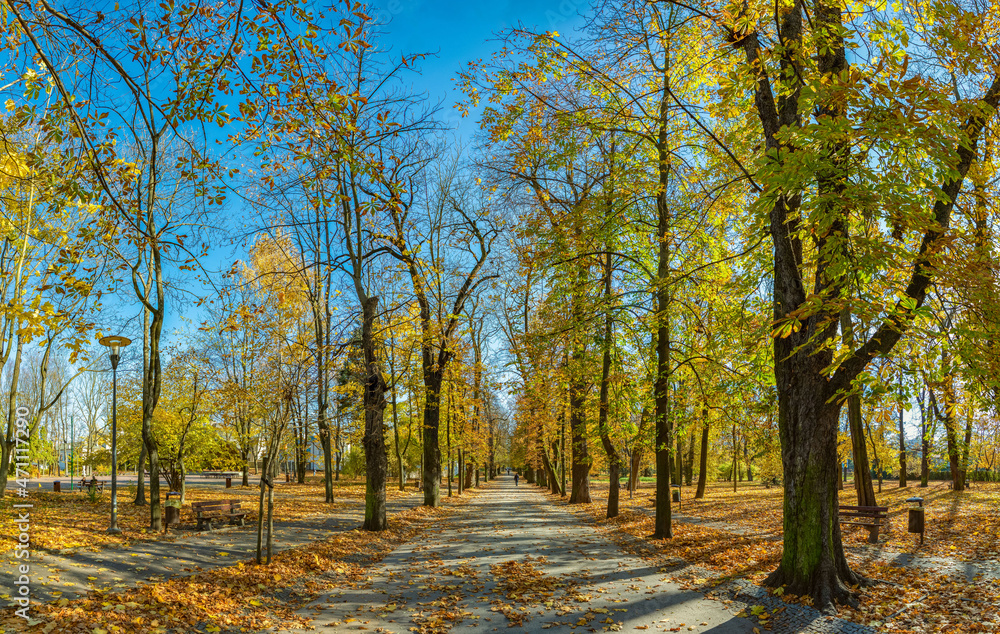 Fototapeta premium Fall Foliage at the Stanislaw Staszic Municipal Park