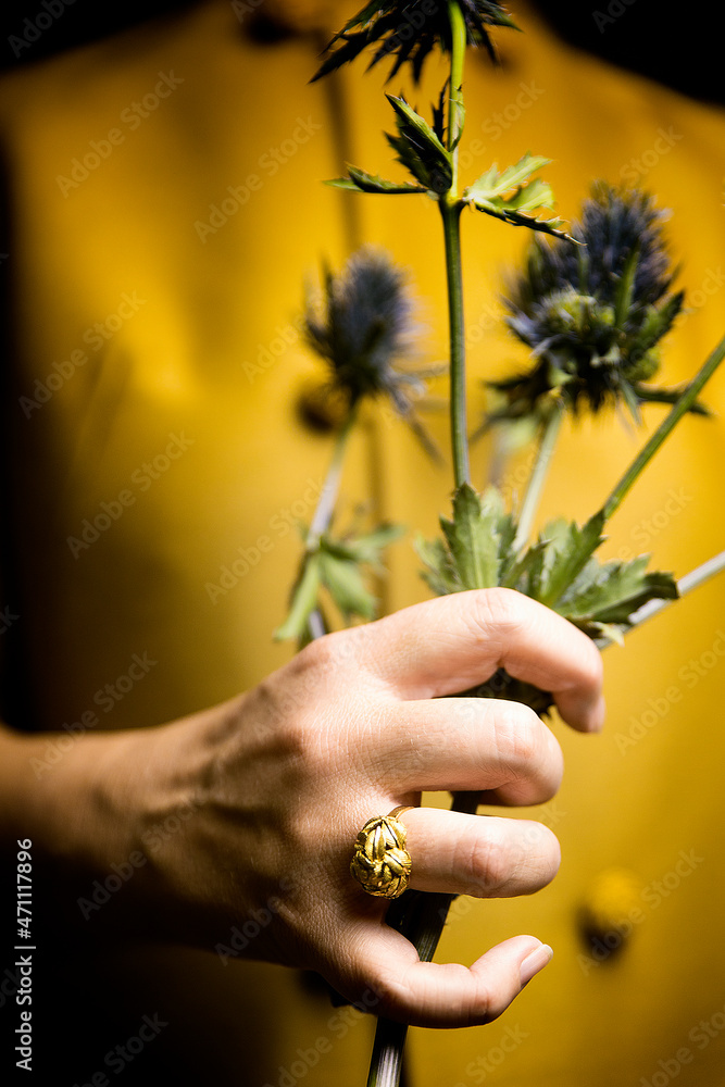 yellow flowers and thistles near the heart III