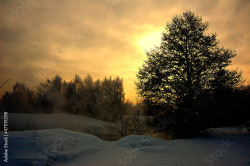 Winter Russian sun. A frosty sunny day on the edge of the forest. Moscow region. Everything is covered in snow 