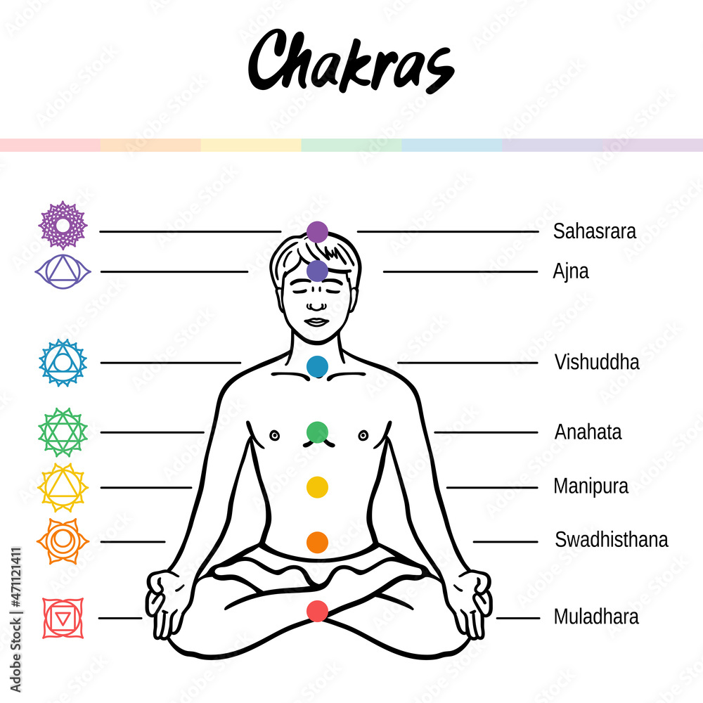 The system of the chakras The system of the chakras