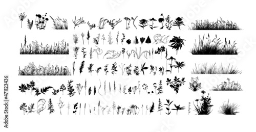 Flowers and herbs set. Silhouette of black grass. Vector illustration