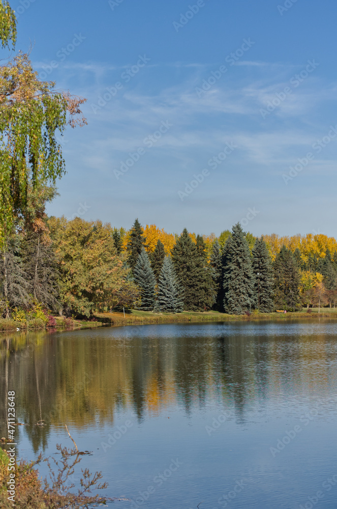 Fototapeta premium Autumn in a Local Park