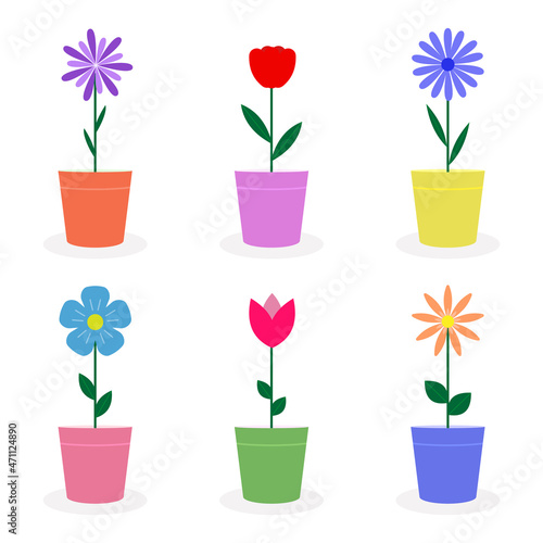 Set of flowers in pots. Bright collection of plants in flowerpots