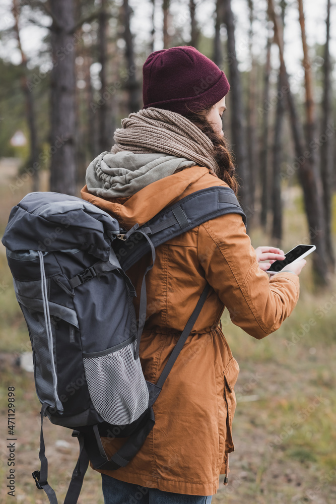 back view of traveler with backpack using smartphone while searching direction in forest