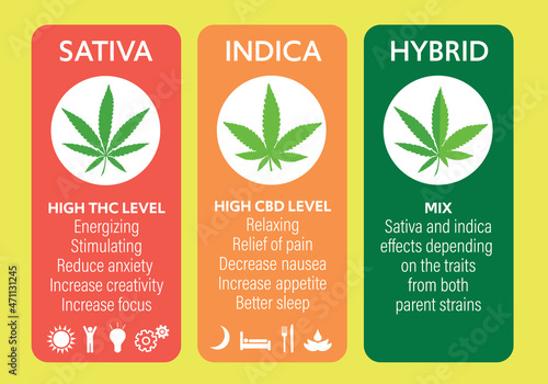 cannabis indica and sativa strains information