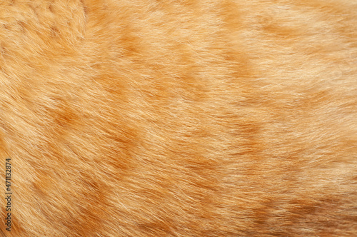 Fotografie, Obraz Fur of a ginger cat close-up.