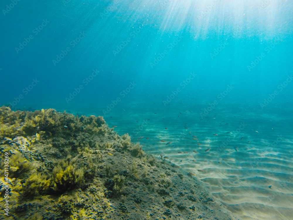 Ionian sea underwater view, gopro shot