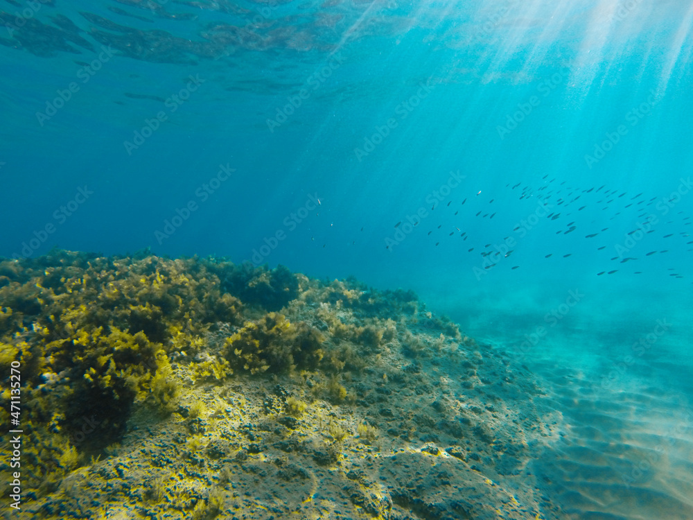 Ionian sea underwater view, gopro shot