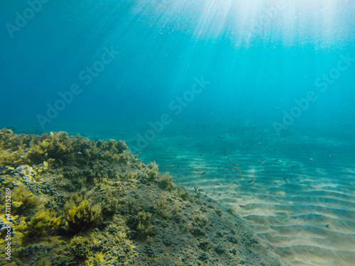 Obraz na płótnie Ionian sea underwater view, gopro shot w salonie