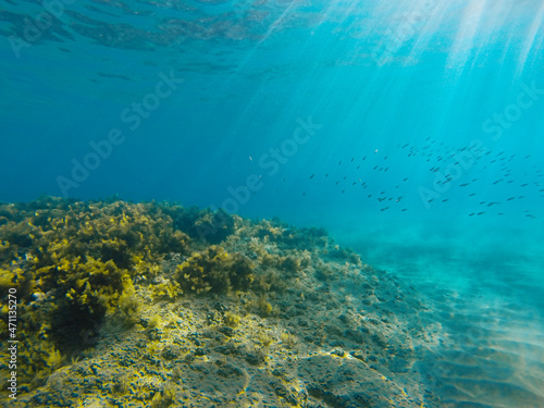 Ionian sea underwater view, gopro shot