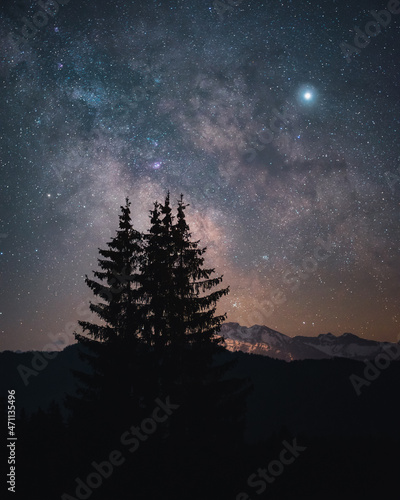 Milky Way in Austria with tree silhouettes at a clear night © Kevin