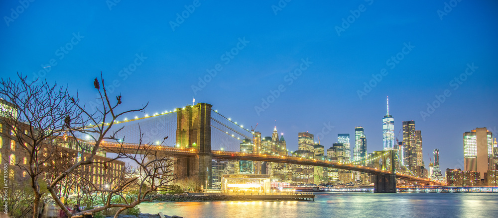 Night view of Brooklyn Bridge and Lower Manhattan from Brooklyn