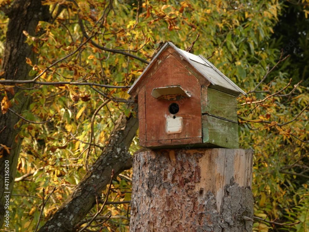 Wooden nest box on a tree stump, Żukczyn, Poland