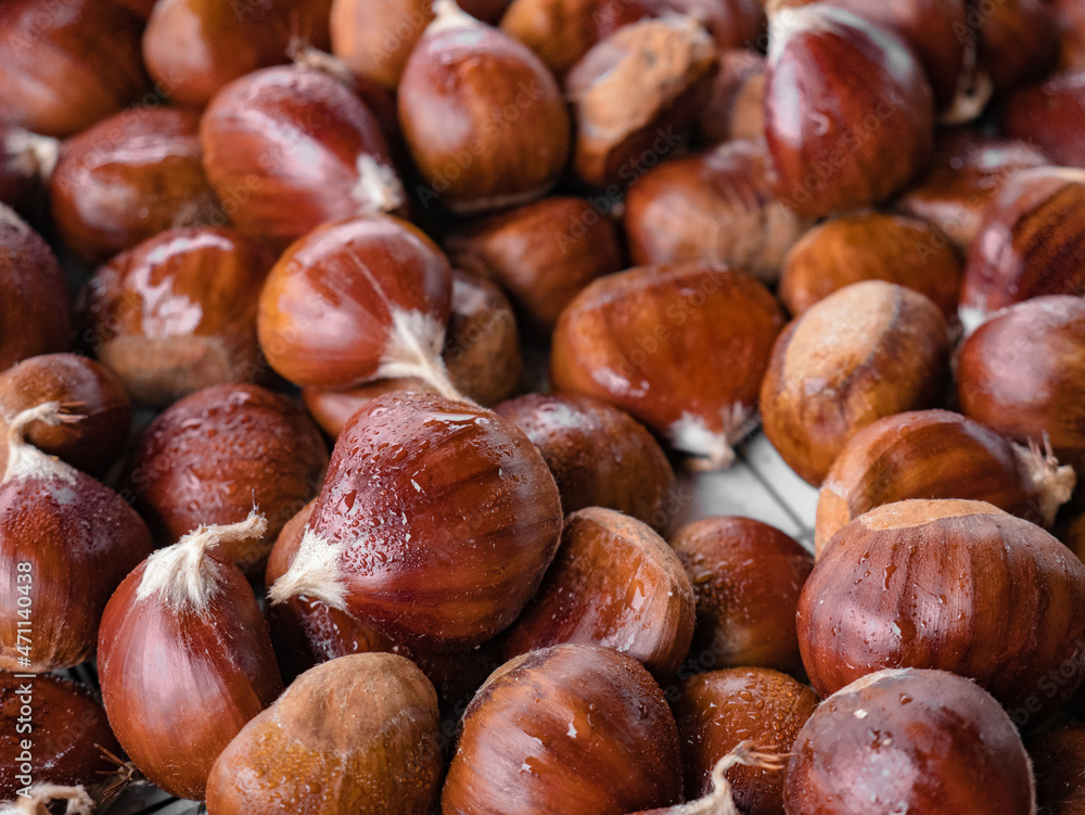 Macro view of a pile of freshly picked chestnuts from the chestnut (Castanea sativa) piled up forming a natural background of this precious fruit of the Bierzo ready for consumption Macro view of a pile of freshly picked chestnuts from the chestnut (Castanea sativa) piled up forming a natural background of this precious fruit of the Bierzo ready for consumption