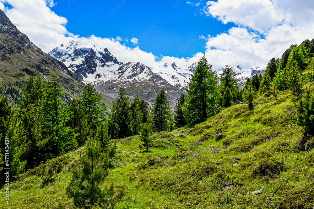Val Roseg, Piz Roseg, Berninagruppe, Wanderweg, Bergwiesen, Oberengadin, Graubünden, Alpen, Sommer, Schweiz