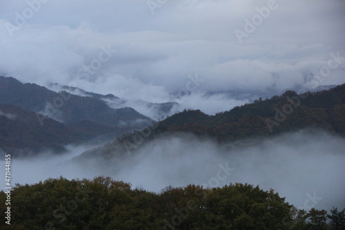 濃霧が立ち込める山々の風景