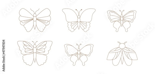 Magical Butterfly with Moon and stars
